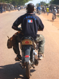 02 Mouton A Moto